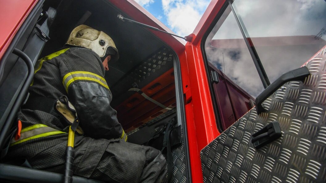    Фото: Ilya Moskovets/Globallookpress