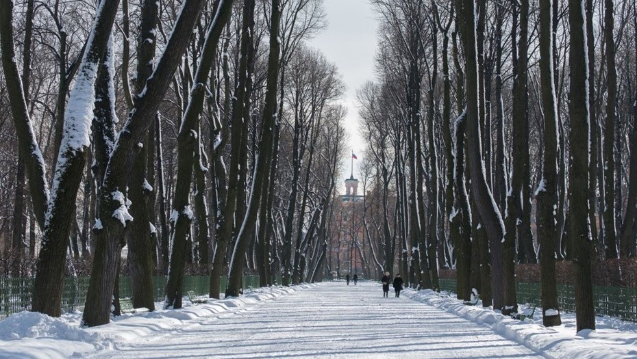    Летний сад Русского музея зимой Автор фото: Пресс-служба Русского музея