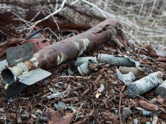    Фото: ТАСС/Валентин Спринчак