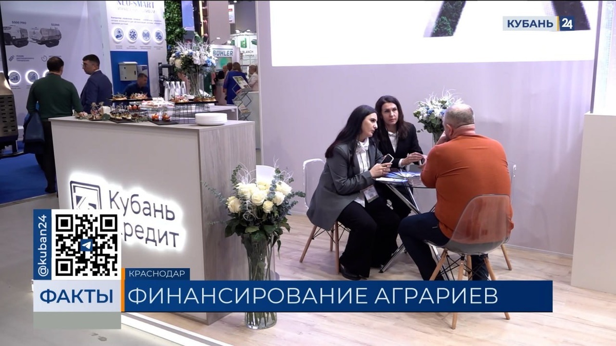    Скриншот видео телеканала «Кубань 24»