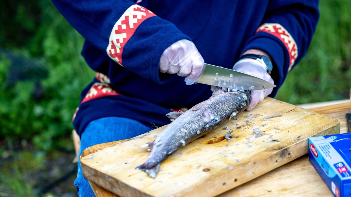    Фото: Сергей Зубков / «Ямал-Медиа»