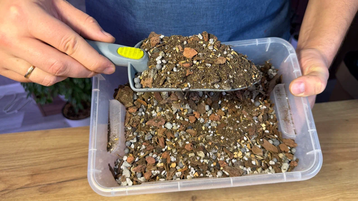 Что добавлять в грунт?