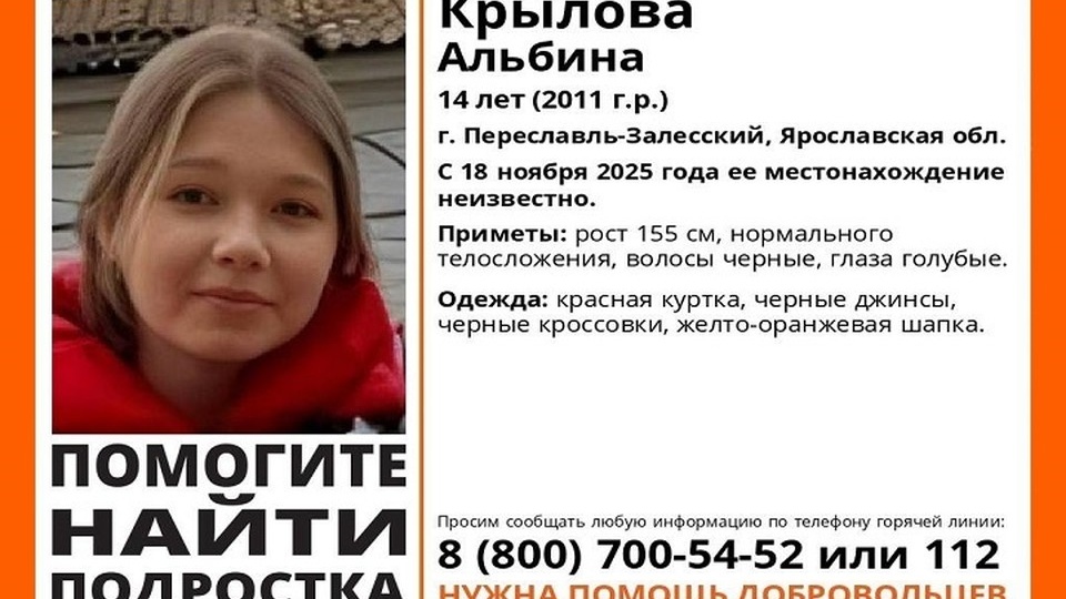 В Ярославской области разыскивают пропавшую девочку