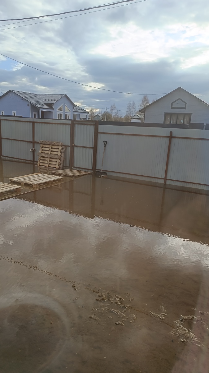 Весна 2025 года. 