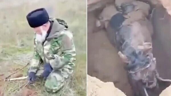    © Кадр видео из соцсетей