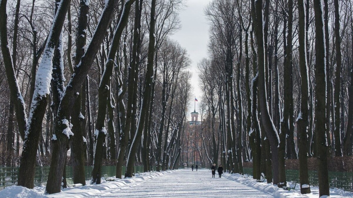     Источник: Telegram-канал Русского музея