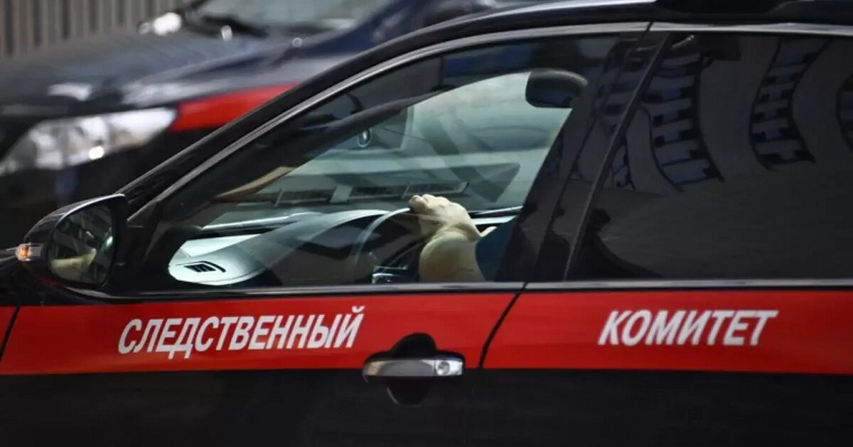 Фото: Евгений Одиноков / РИА Новости