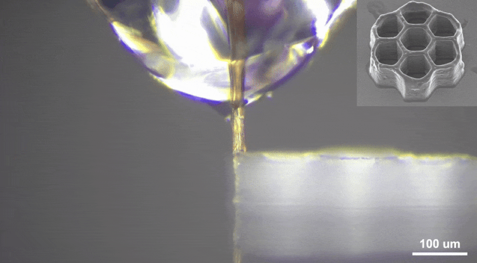   Justin Puma et al. / Science Advances, 2025