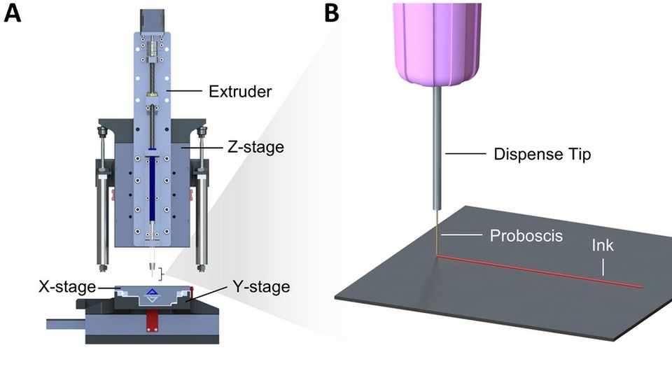   Justin Puma et al. / Science Advances, 2025