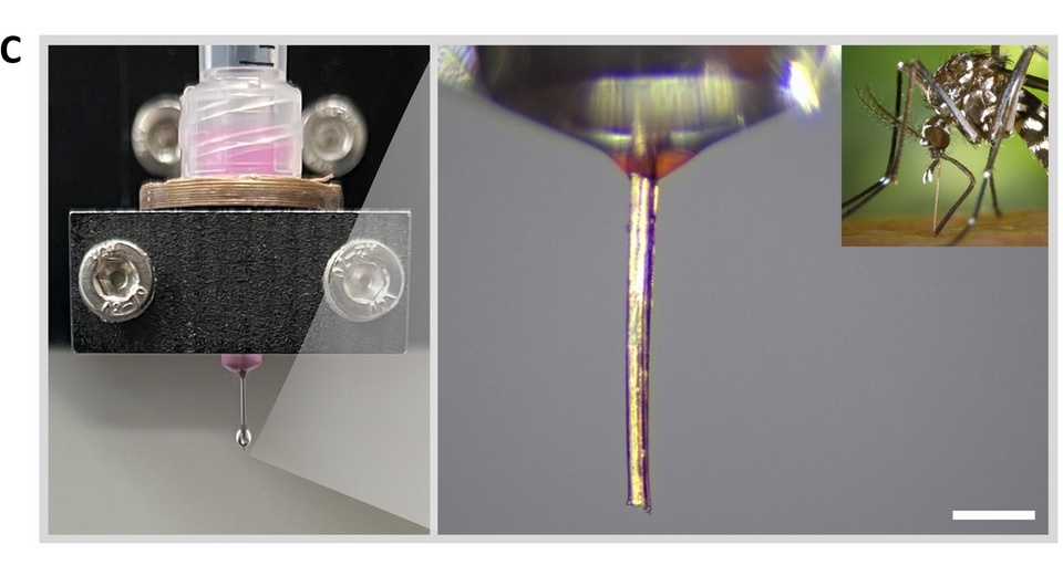   Justin Puma et al. / Science Advances, 2025