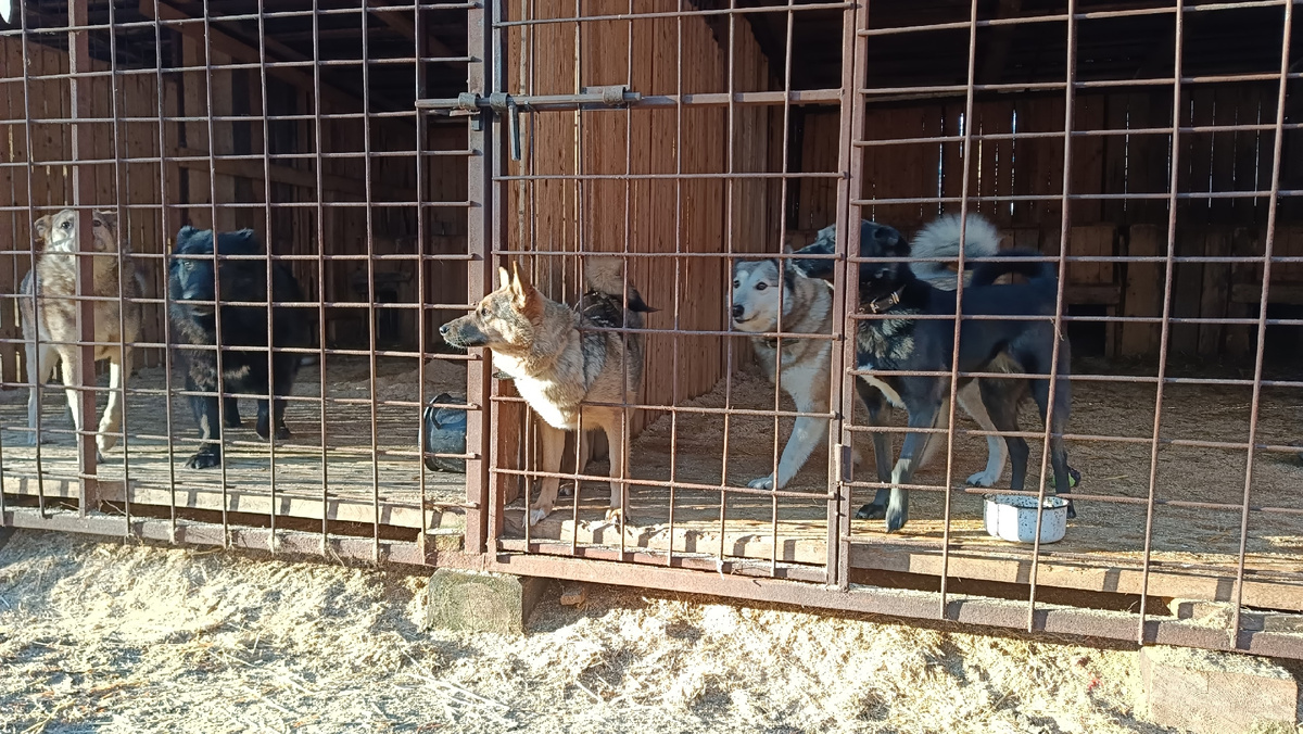 Новости?!! Какие?!!!