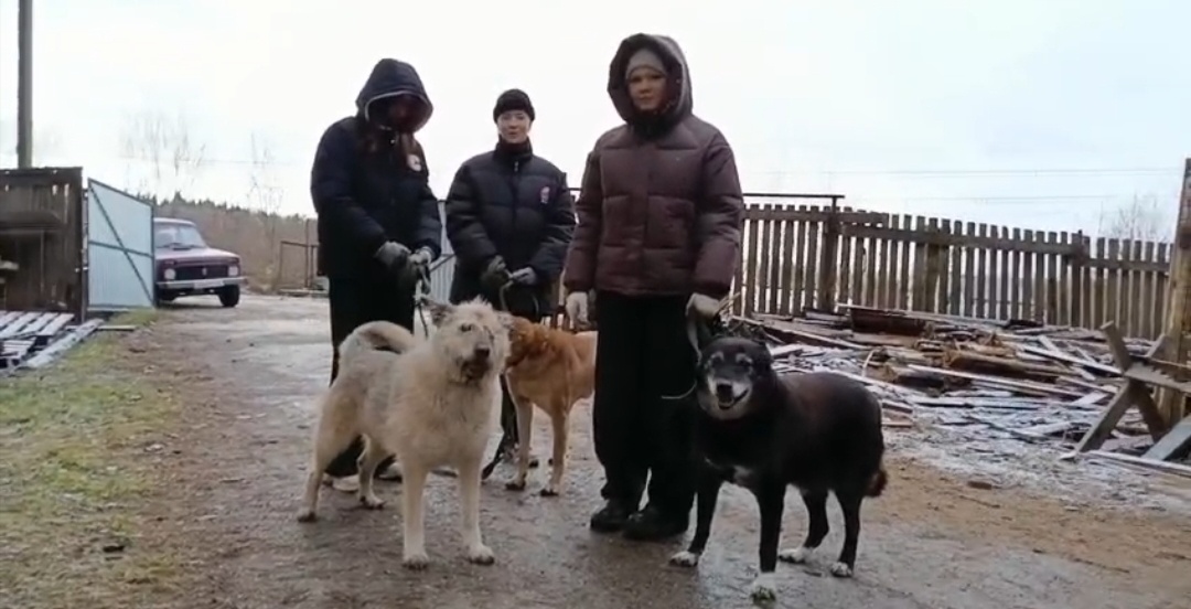 Мы даже не успели с ними познакомиться.