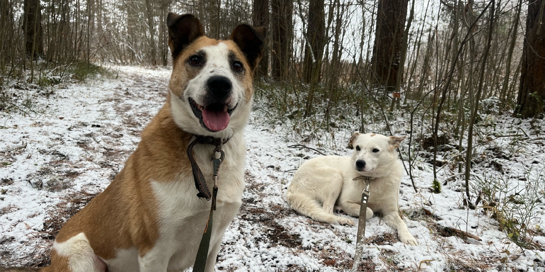 Благодаря Дашиному видеоотчёту для Чусовского телевидения, жители города знают всё