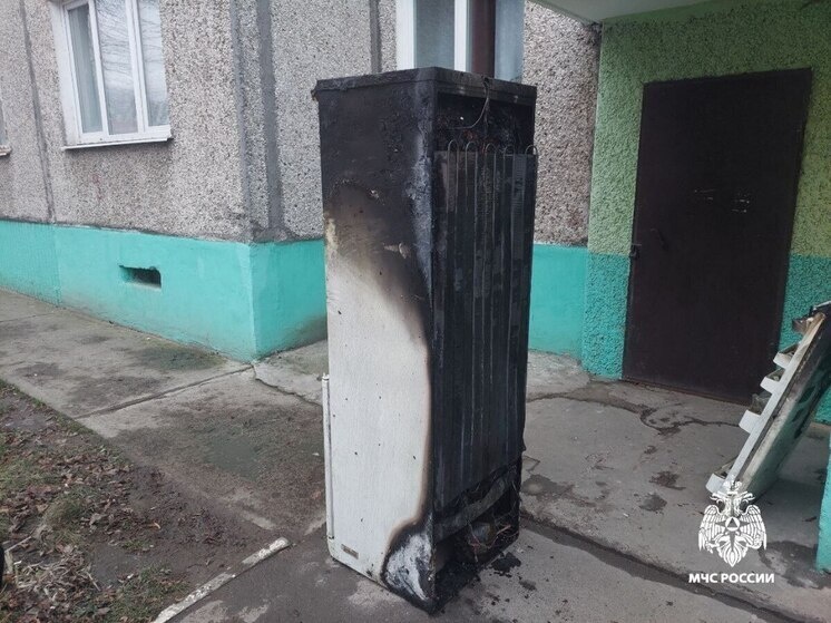     Фото: МЧС России