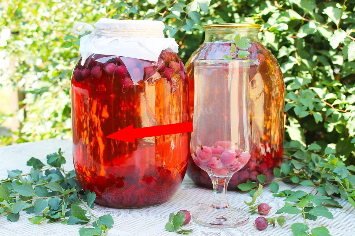    Этот забытый рецепт морса из крыжовника взорвал мой блог