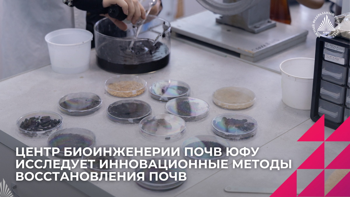 Фото: Центр общественных коммуникаций ЮФУ