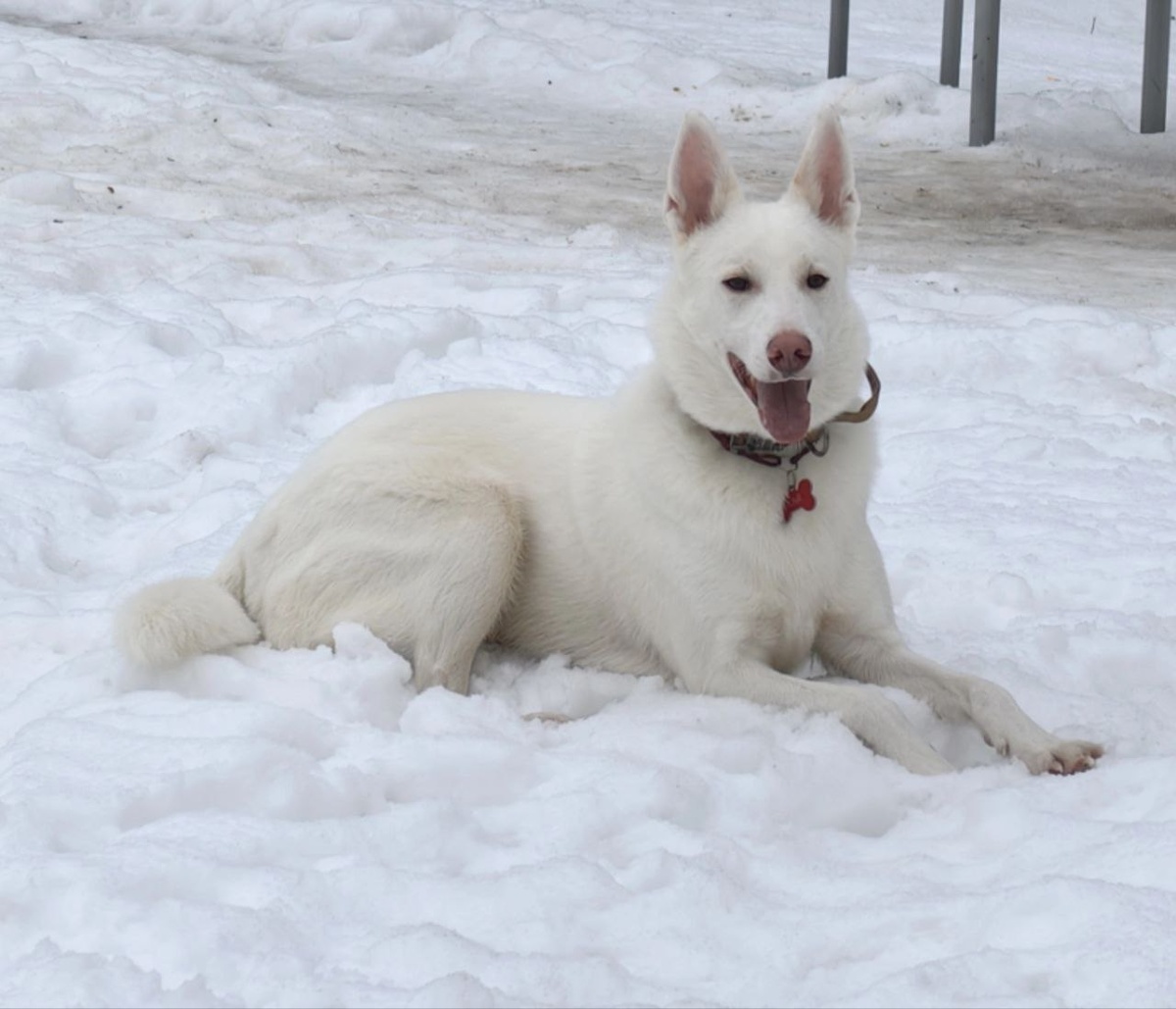 Снег это же хорошо!