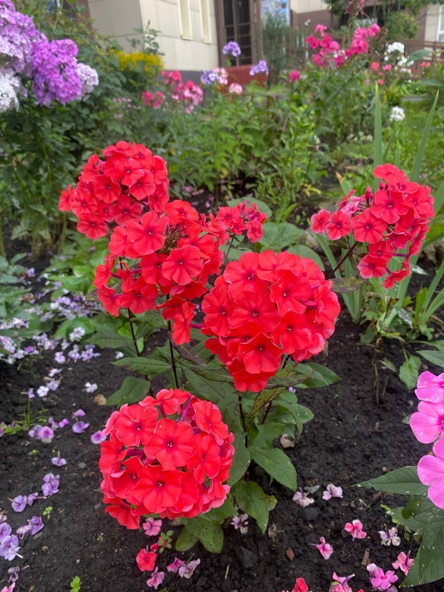 2. В галерее 2 фото, листайте