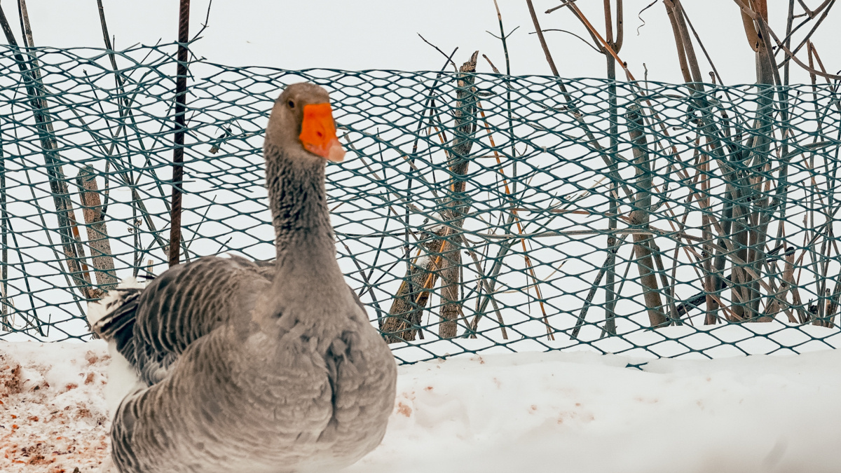 Светлана Мулыкина📷
