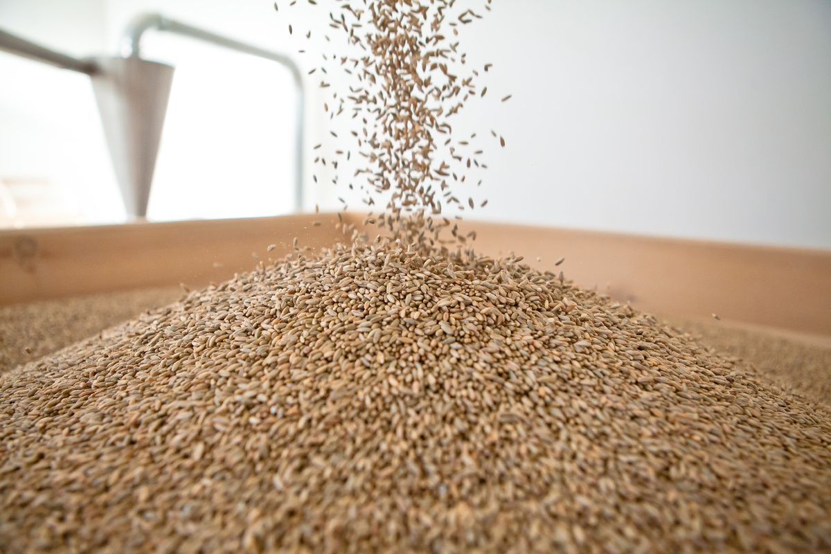 Крупа "Чёрный хлеб"