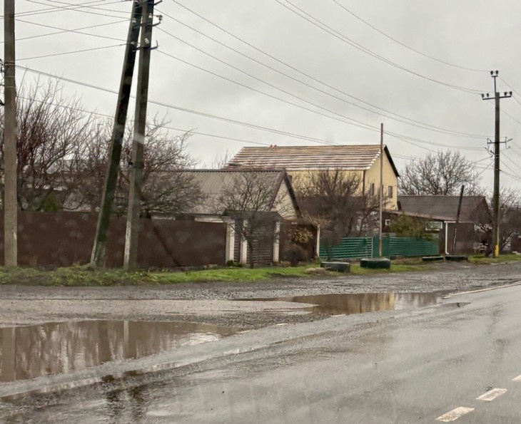    природа Алексеева Наталья