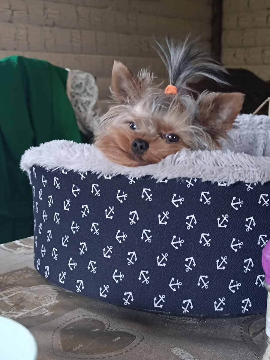 Наша Бусинка. 