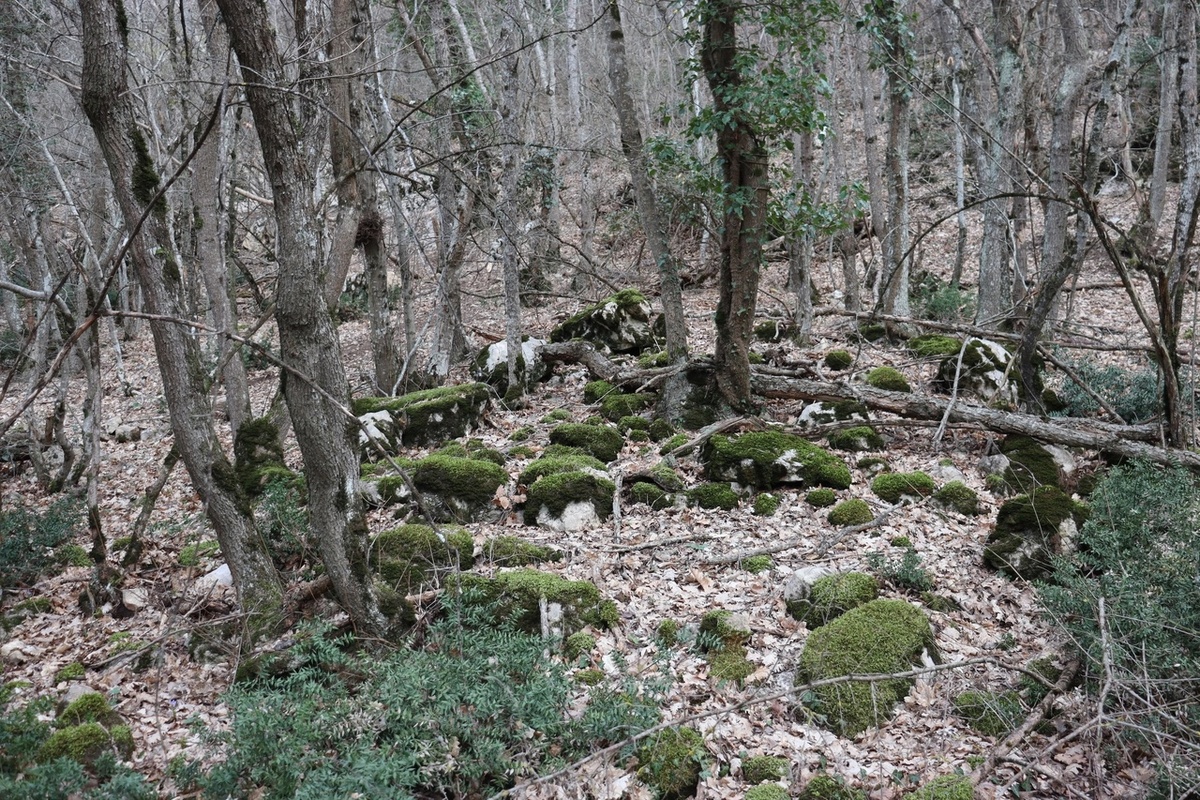 Ориби Каммпирр - Тишина... я был один (из рассказа "Предчувствие будущего") © Copyright: Ориби Каммпирр