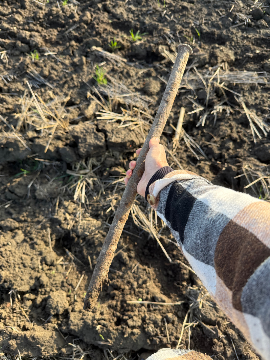 Источник ломика и фото - Оксанка :)