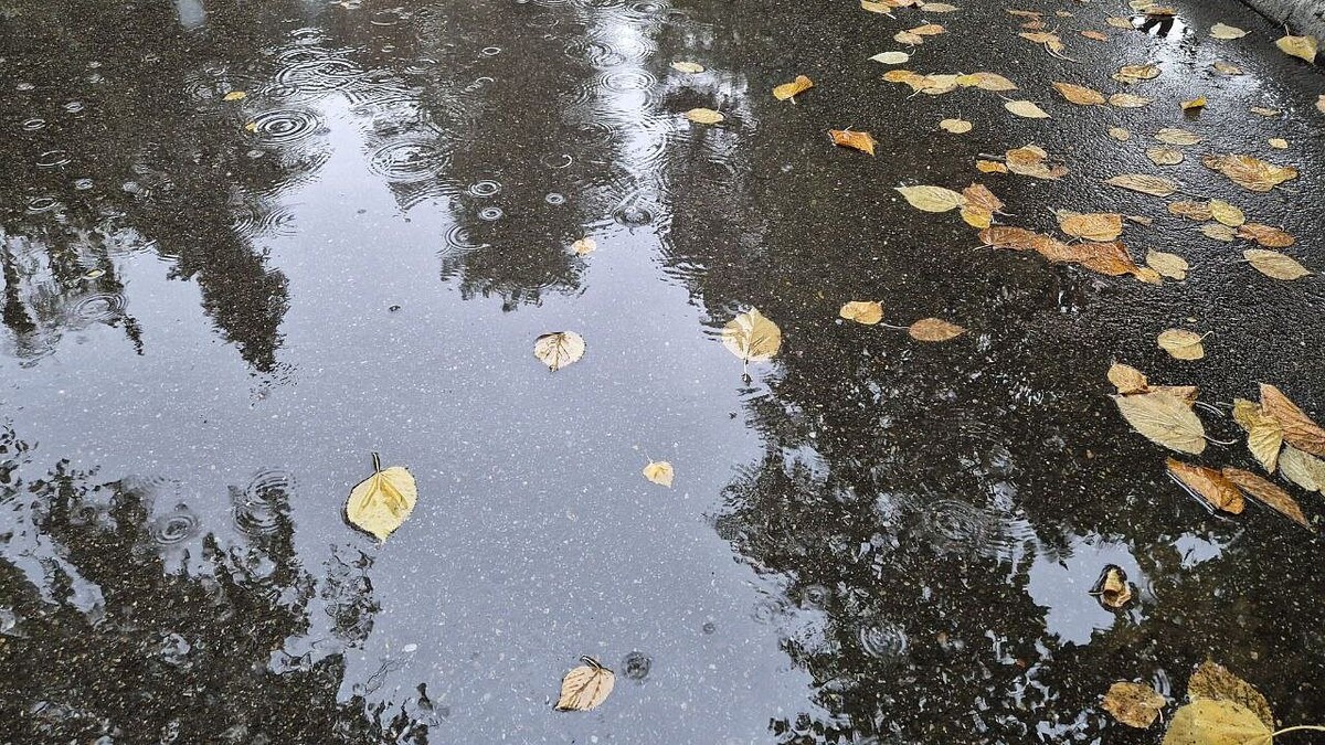    Фото: телеканал «Краснодар»