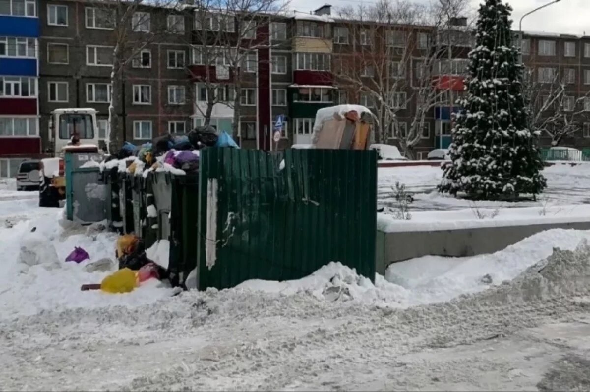    В Петропавловске установили елку рядом с мусорными контейнерами