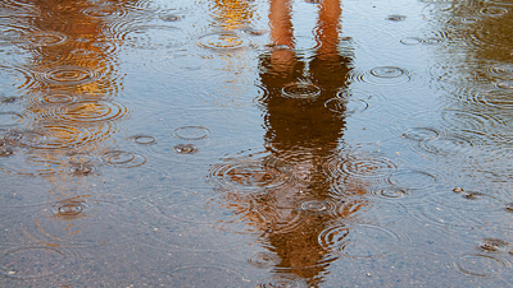    Svetlana Vozmilova/Globallookpress