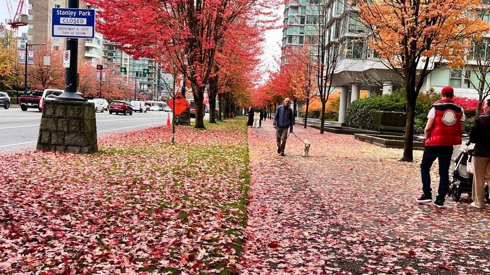 Как теперь получить шенген: однократные визы – новая реальность