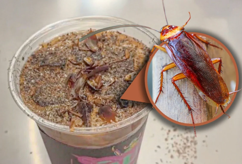 Как ни странно не вызывает отвращения на вид