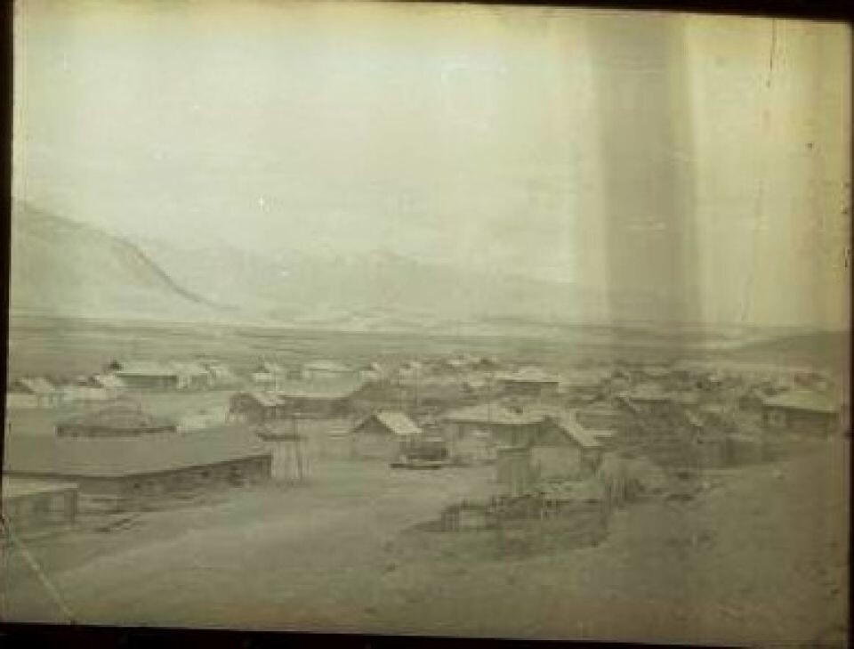    Общий вид поселка Бельтир (колхоз "Кызыл-Мааны"). Теленгеты. 1973-1974. Источник: goskatalog.ru, архив ФГБУН Музей антропологии и этнографии им. Петра Великого (Кунсткамера) Российской академии наук