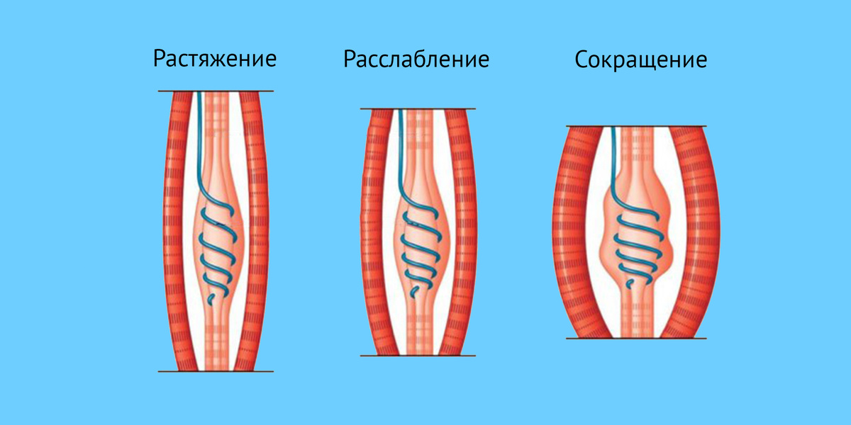 7 симптомов, что сосуды потеряли упругость (чек-лист)