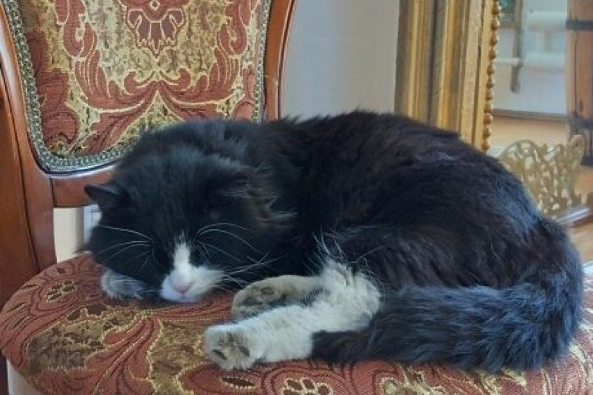    Фото: группа Нерчинского музея, источник: "ВК"