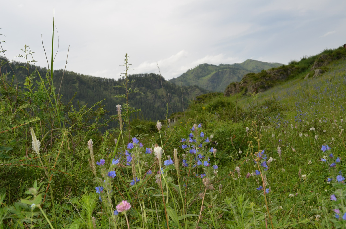 Фото автора и других участников похода