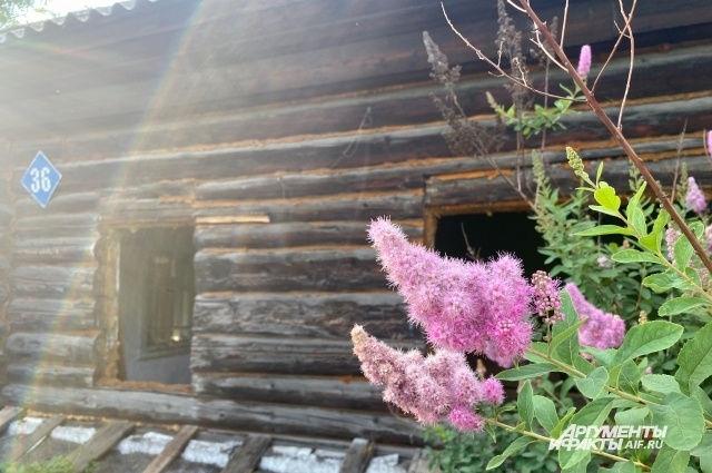    Фото: АиФ/ Анна Городкова