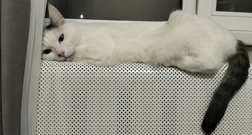    На улице -40, а дома +25: дешевый предмет, который заменит обогреватель