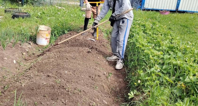    Что нельзя сажать в ноябре: полный список неудачников сада - ждет абсолютный провал