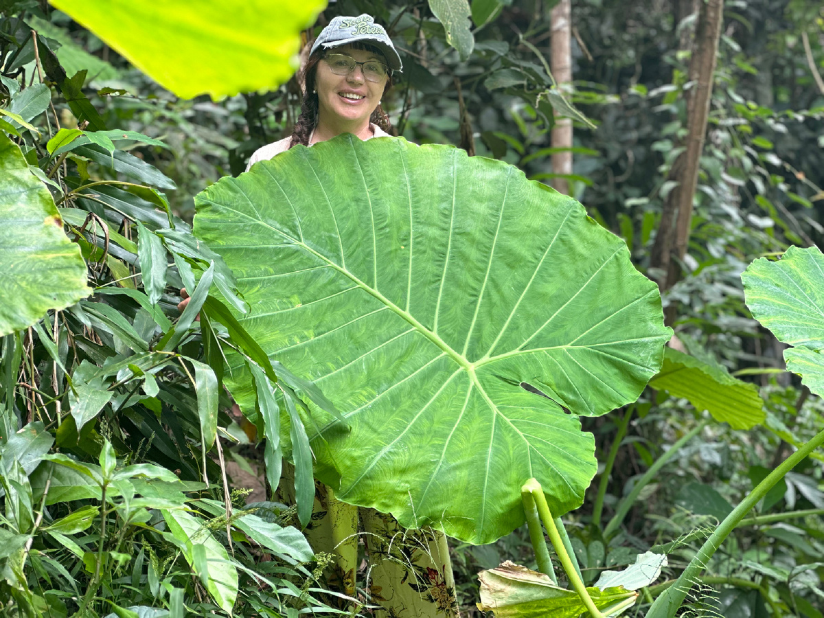 Под листом не холодно.