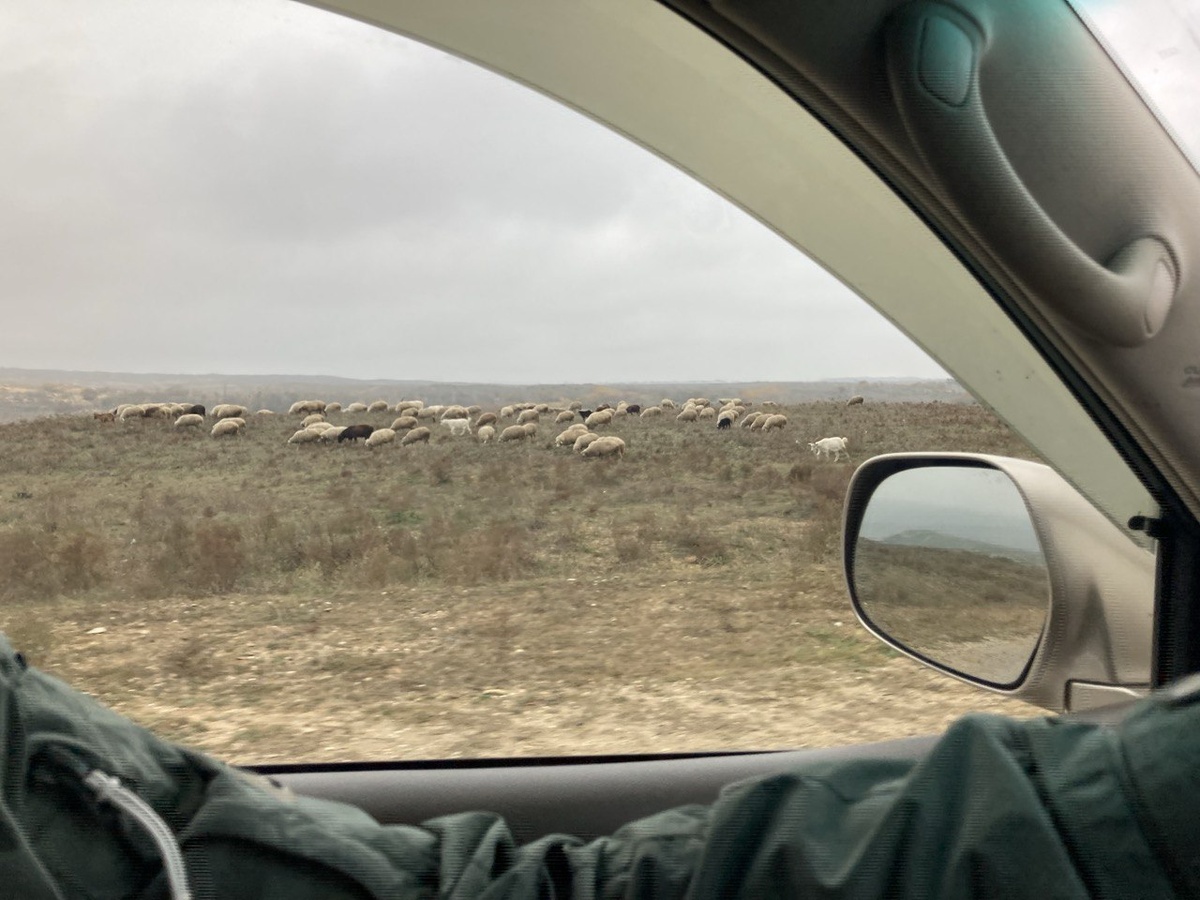 Кумторкалинский район. Это мне геолокация фотографии сама собой подписала. 