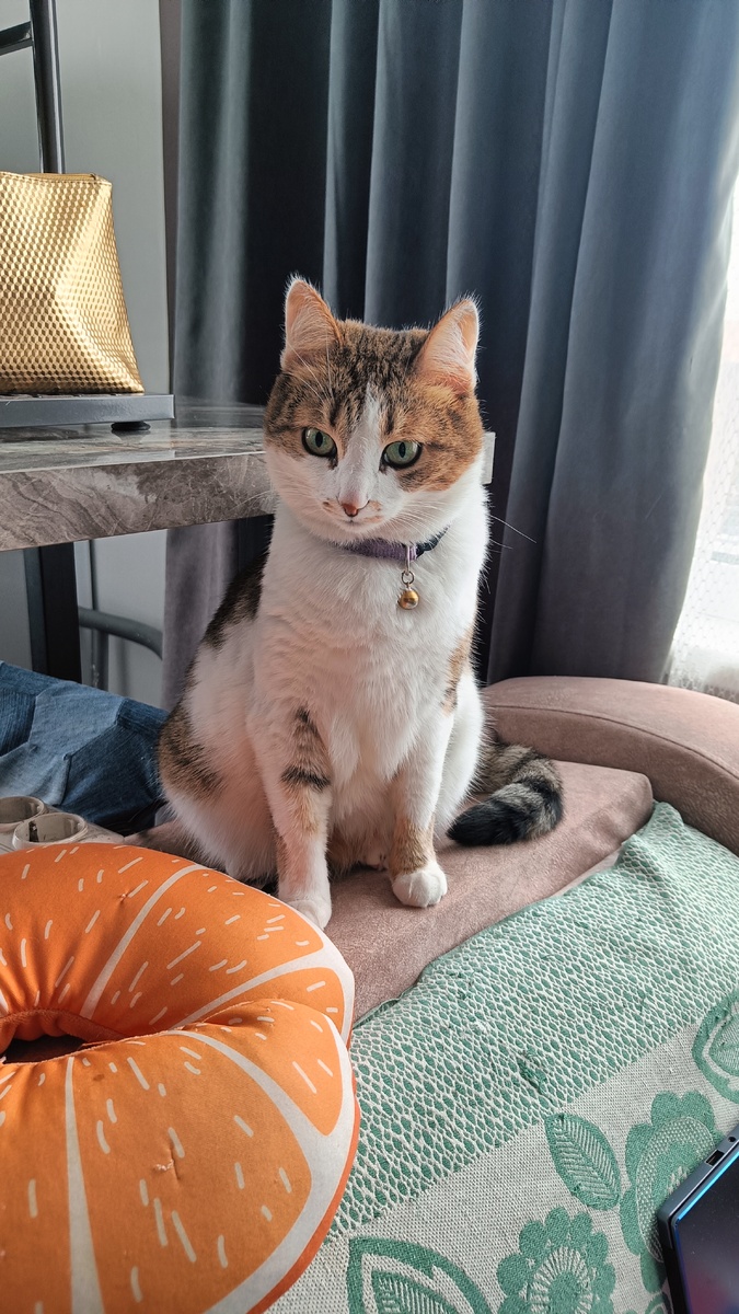 Проснулась - потянулась. А тут мама с телефоном. 