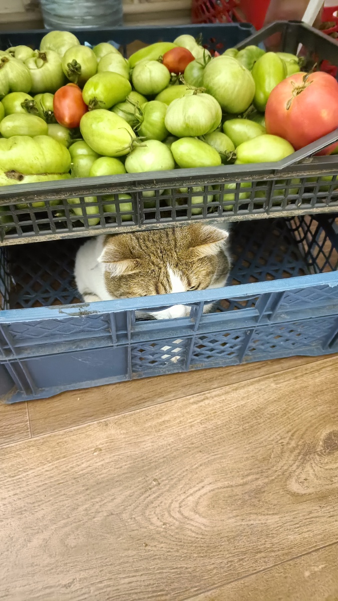 Урожай бывает разный. 