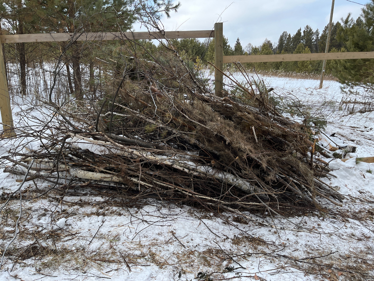 Видно только половину веток, за кучей еще столько же и вроде это промежуточная фотография, не все ветки еще уложены. 