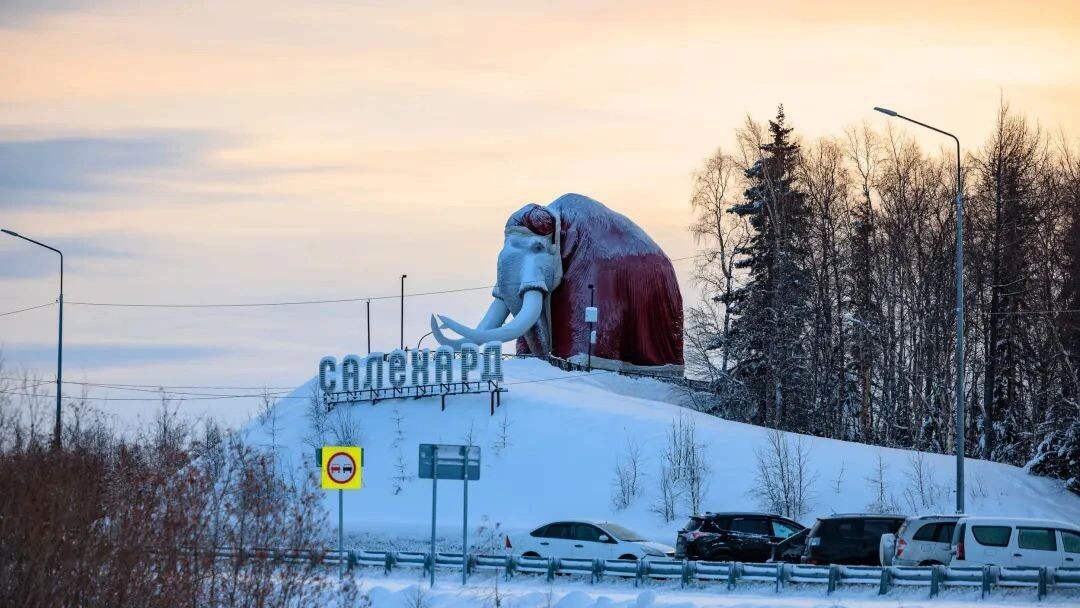    Фото: Сергей Зубков/«Ямал-Медиа»