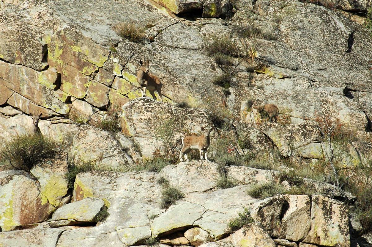 Фото Ольга Шадрина