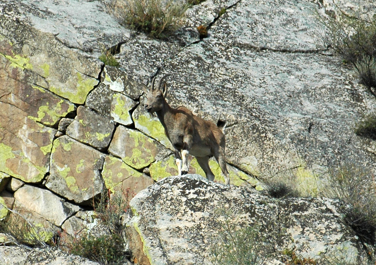 Фото Ольга Шадрина