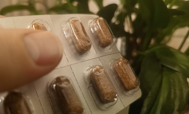    фото: © Столица на Онего