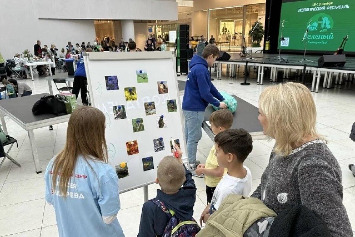    Фестиваль в Екатеринбурге соберёт тех, кто заботится об окружающей среде